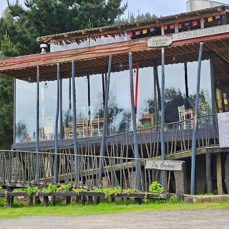 Lodge Los Bosques Matanzas  Kültér fotó