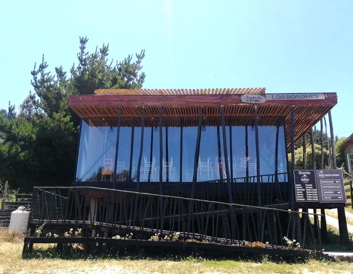 Lodge Los Bosques Matanzas  Kültér fotó